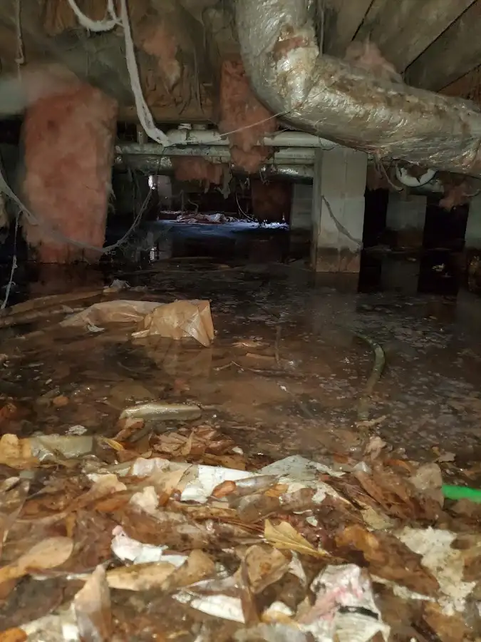 Crawl space flood assessment for Leak Detection & Repair in Payette