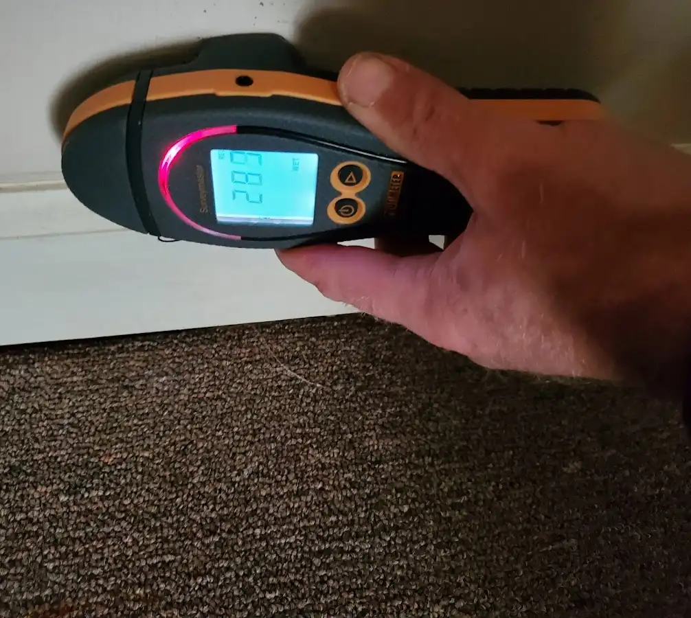 Moisture detection at baseboard during Mold Inspection & Testing in Payette