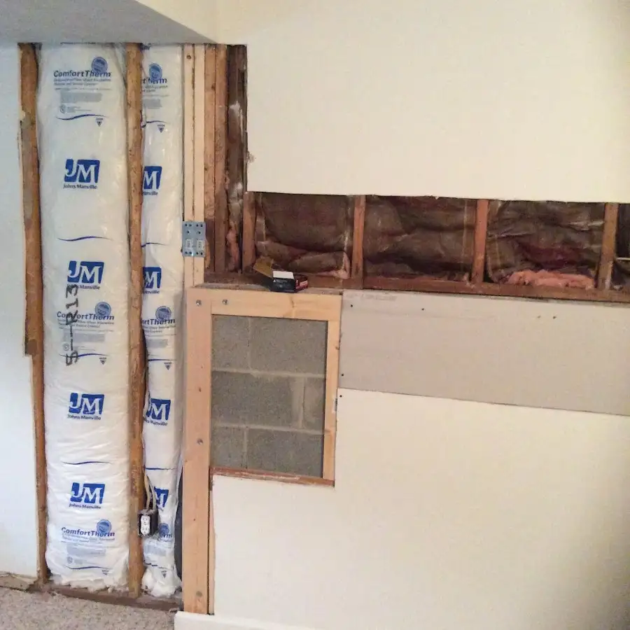 Wall insulation replacement during Odor Removal & Deodorization in Payette